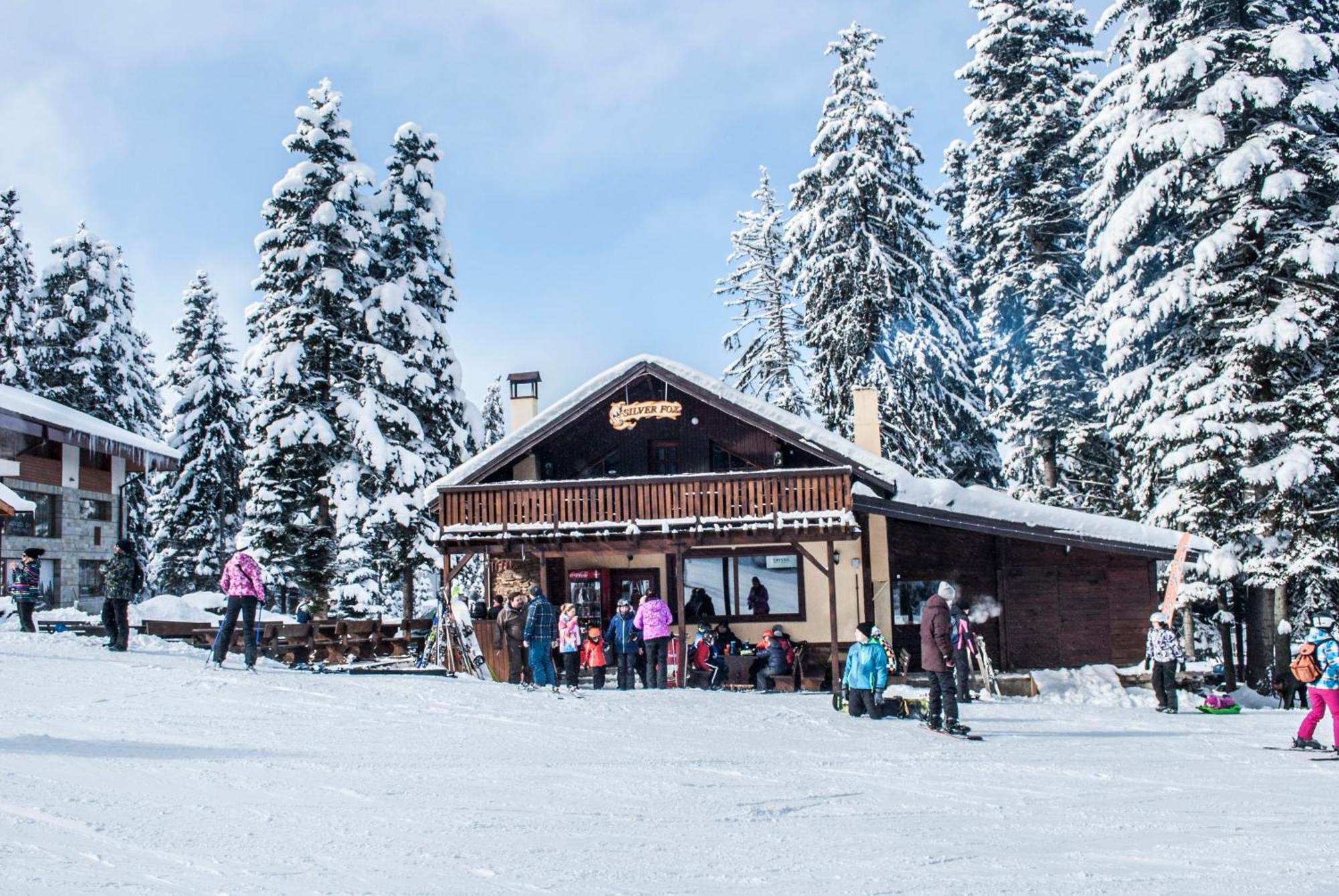 Alpine Ski Chalet Borovets With Sauna Экстерьер фото
