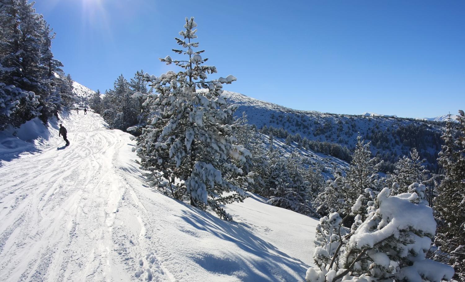 Alpine Ski Chalet Borovets With Sauna Экстерьер фото