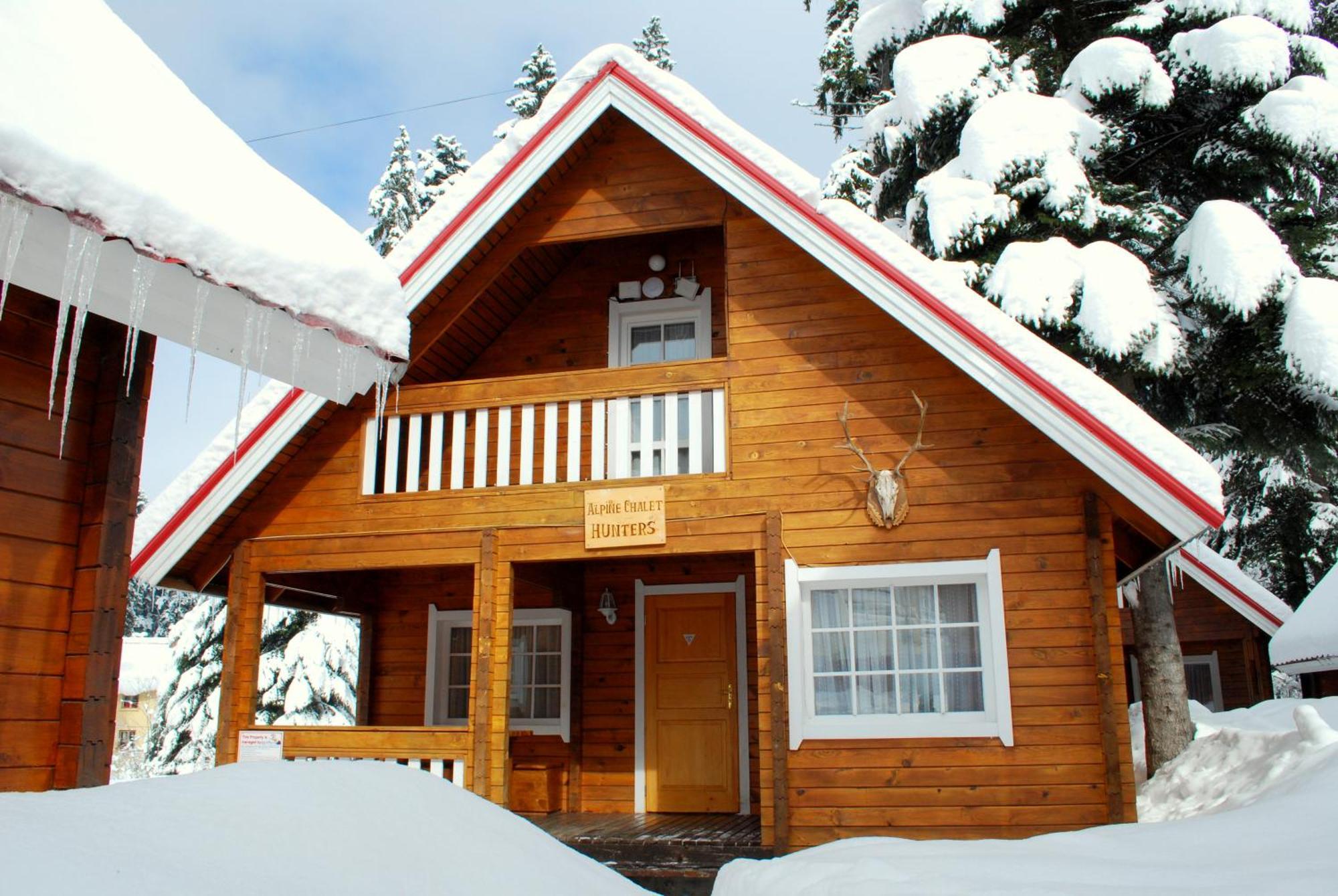 Alpine Ski Chalet Borovets With Sauna Экстерьер фото