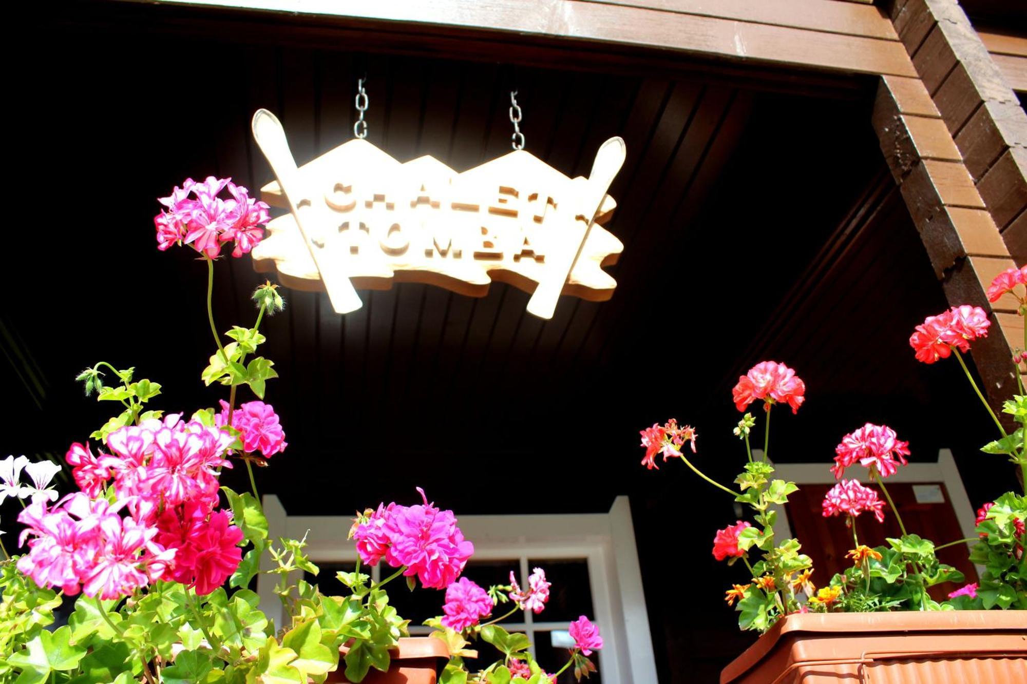 Alpine Ski Chalet Borovets With Sauna Экстерьер фото