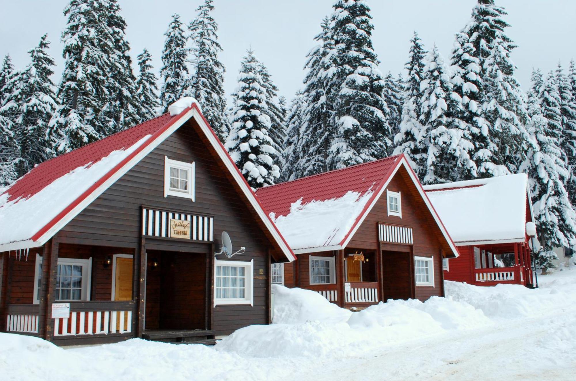 Alpine Ski Chalet Borovets With Sauna Экстерьер фото