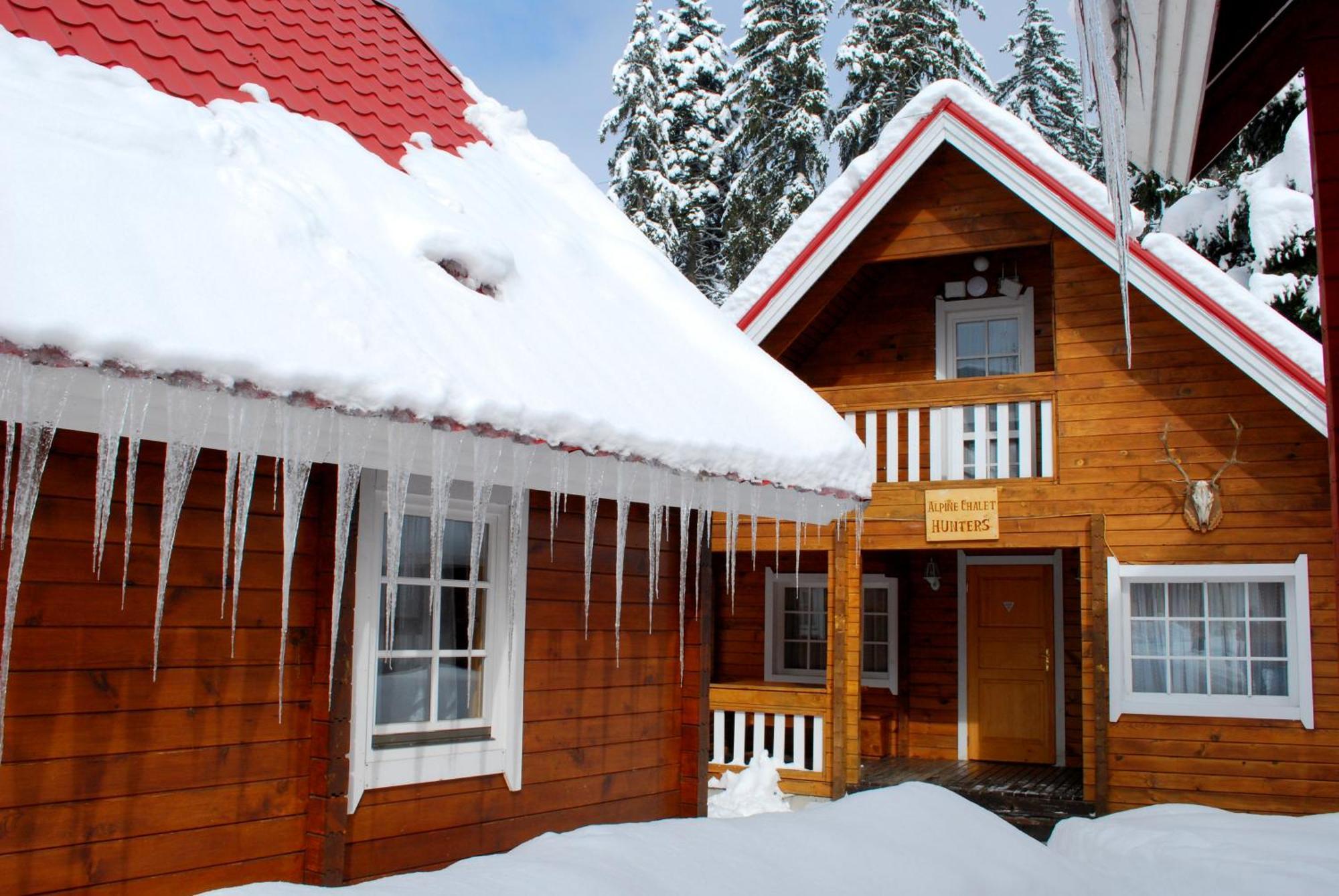 Alpine Ski Chalet Borovets With Sauna Номер фото